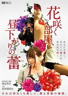 谷底有风 励志剧情电影手机观看
